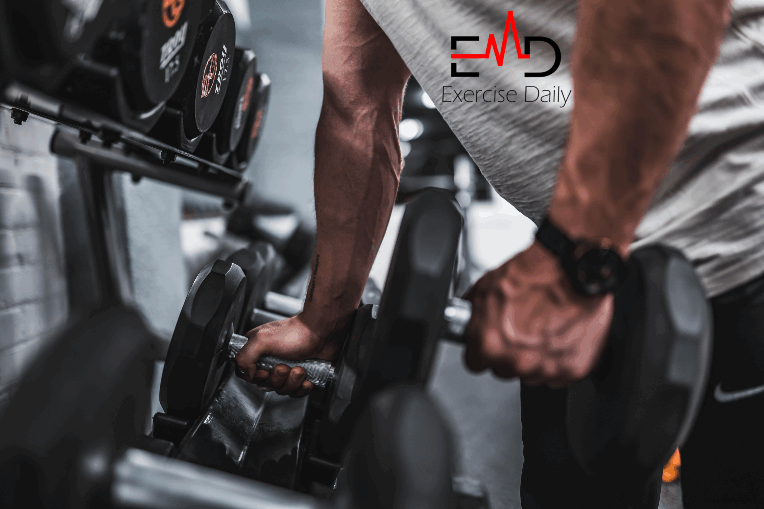 workout sets how many exercises per workout