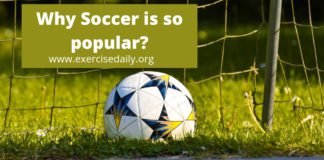why soccer is so popular