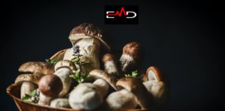 Nutritional value of mushrooms