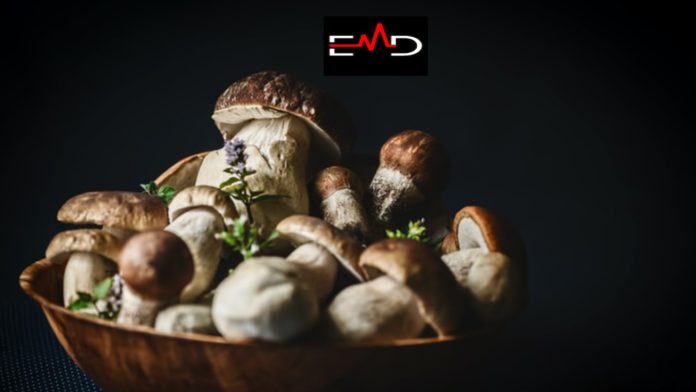 Nutritional value of mushrooms