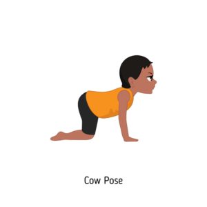cow pose
