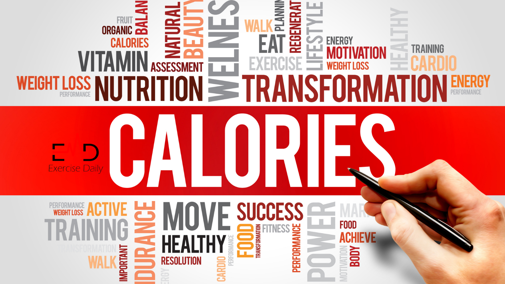 Calories Burned Jogging Calculator Exercise Daily