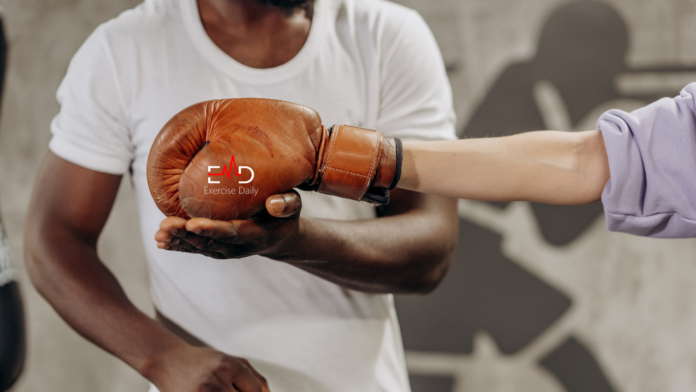 best boxing gloves for beginners