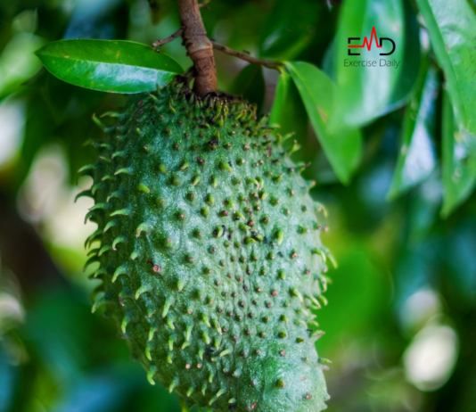 15 Health Benefits of Soursop Leaves