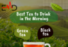 Best Tea to Drink in the Morning