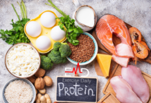 How Much Protein Body Can Absorb
