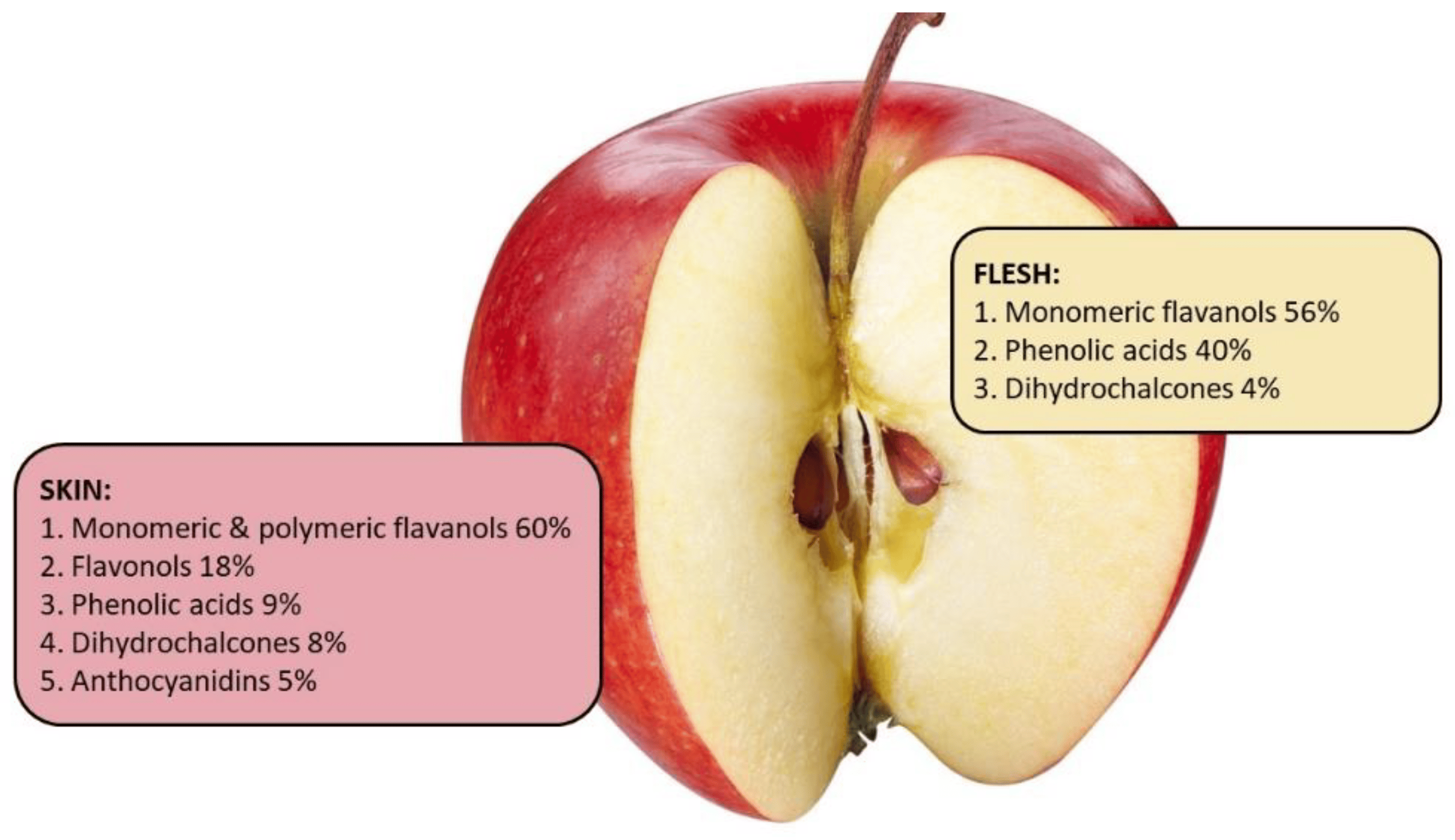 Anticancer Properties of Apple Seeds