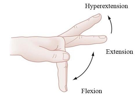 Finger Extension and Flexion