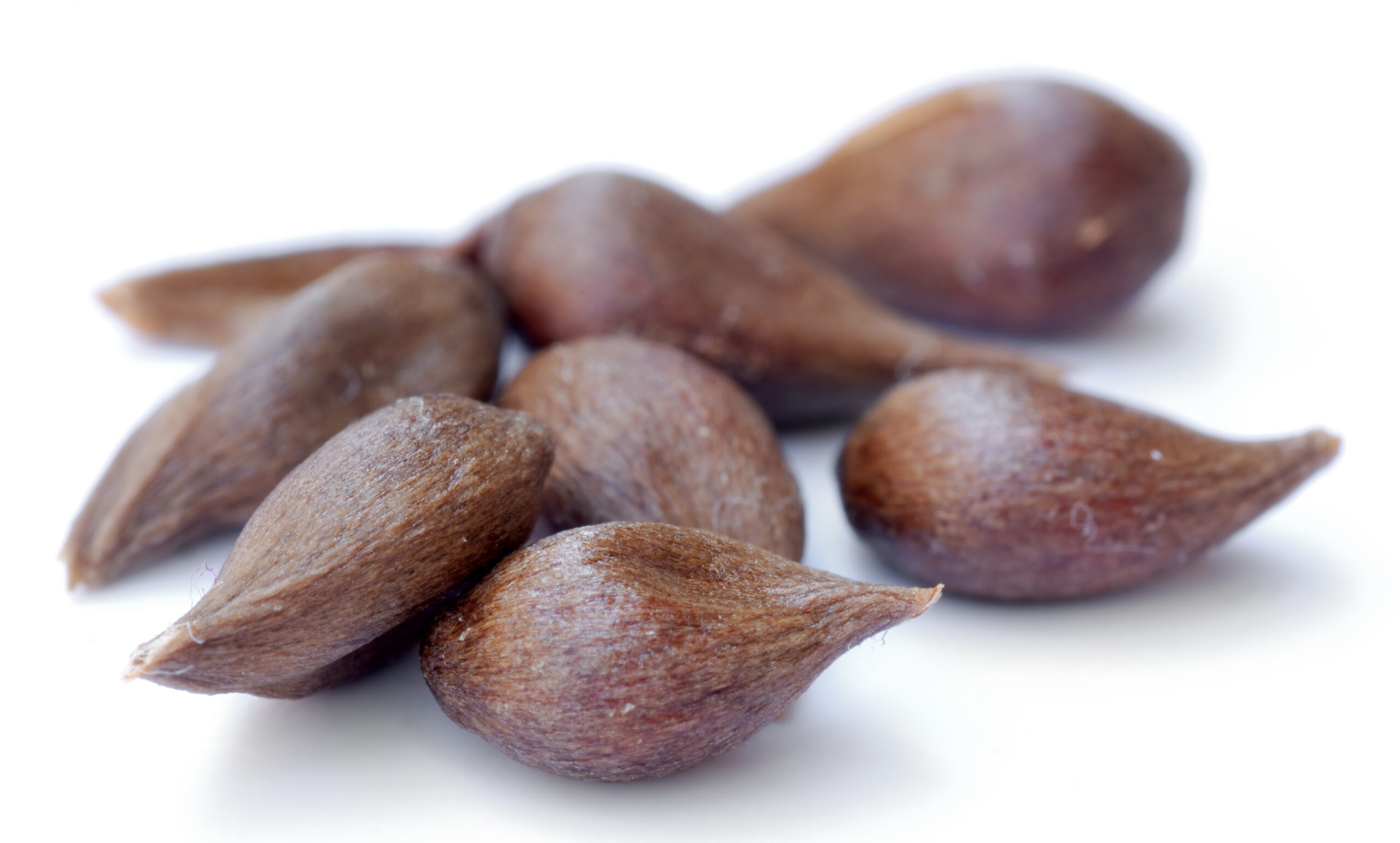 The Powerful Benefits of Apple Seeds for Cancer Patients