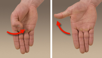 Thumb Extension and Flexion