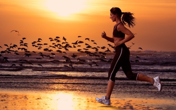 Wellness and Holistic Health