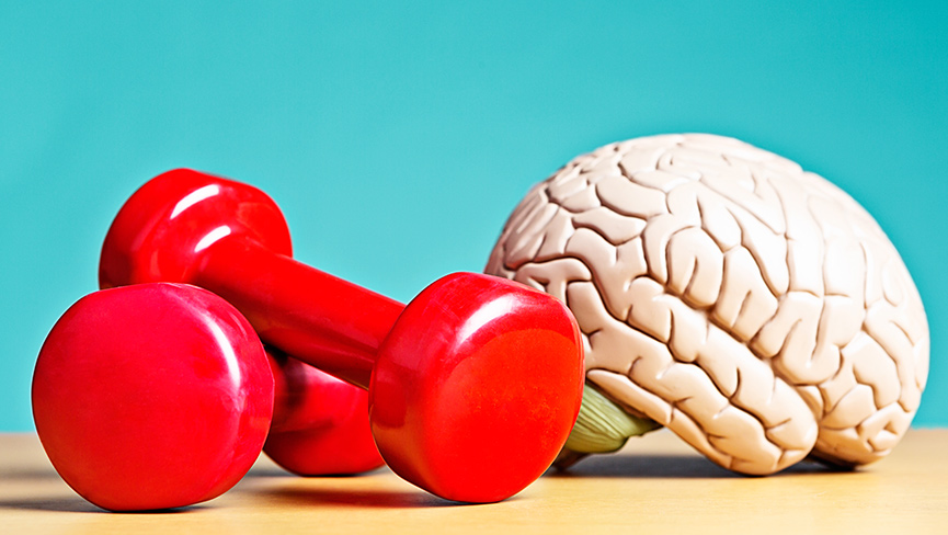 How Exercise Affects the Brain