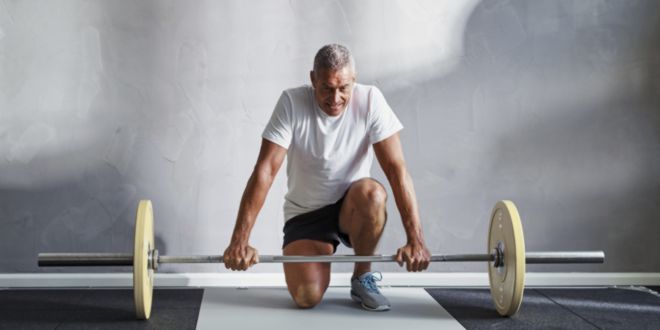 Strength Training for Seniors: Building Muscle and Bone Density