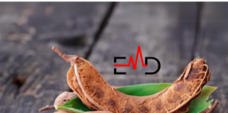 Tamarind for Athletes A Natural Aid for Digestion and Energy Boost