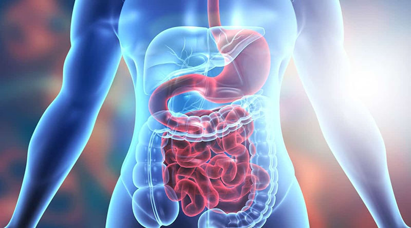 Common Digestive Issues
