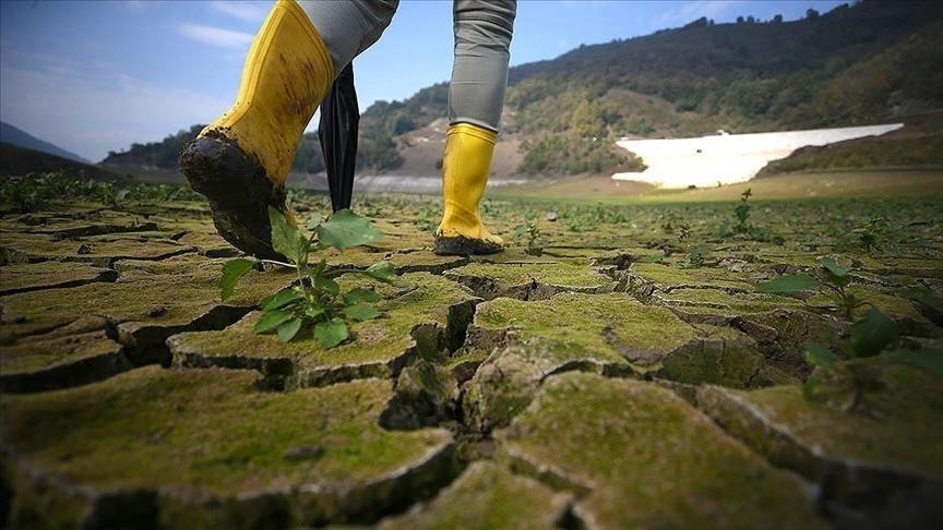 Fitness and Sustainability: Making Choices for a Healthy Planet