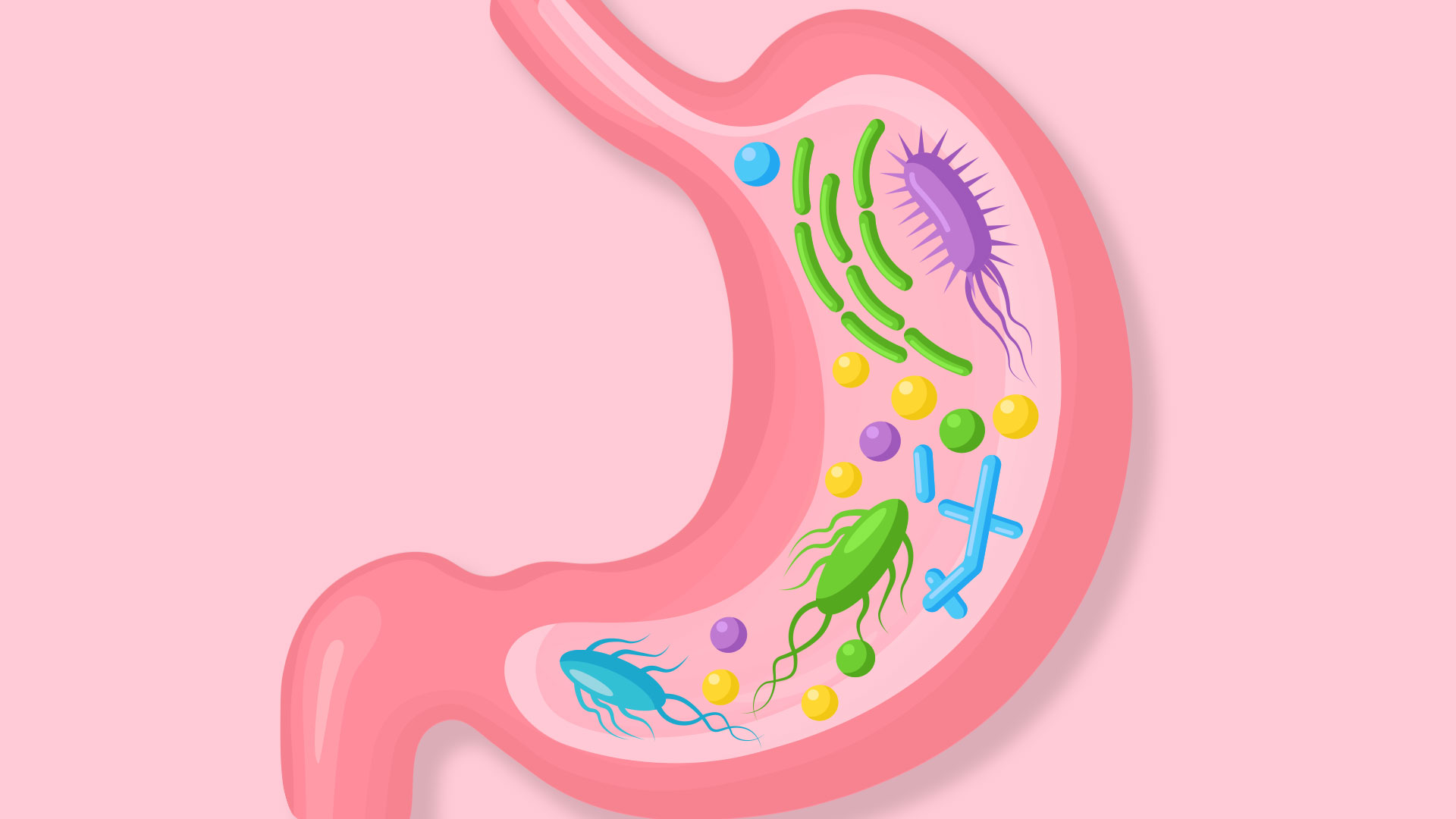 The Benefits of Gut Health and Simple Recipes to Improve Yours