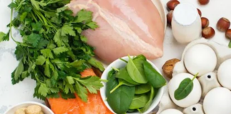 The Athlete’s Plate Building a Performance-Enhancing Diet