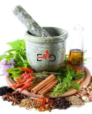 6 Easy Ways for Student Wellness Services – Boost Immune System