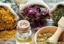 Top 10 Best Herbs to Boost Energy and Fight Fatigue Naturally