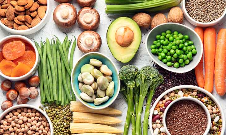 Plant-Based Recipes for a Meatless and Flavorful Lifestyle