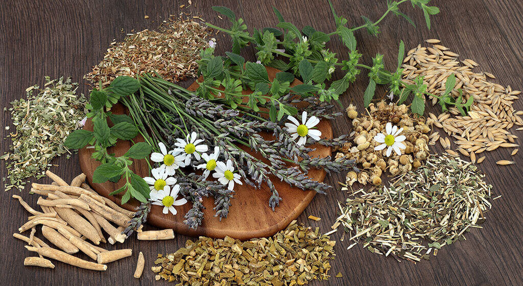 The Power of Natural Remedies for Anxiety