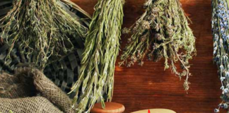 Preserving and Storing Natural Remedies