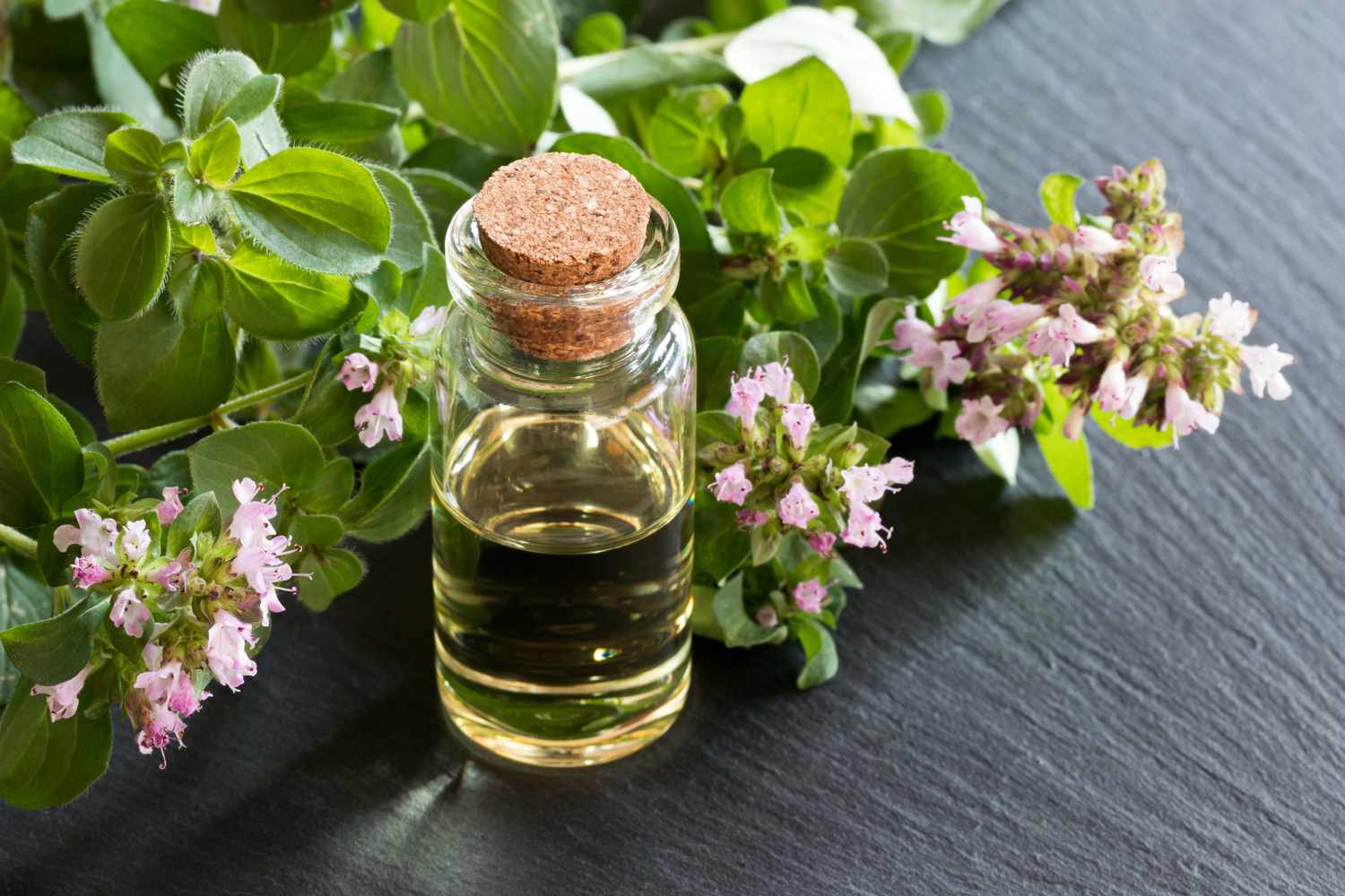 How Oregano Oil Can Boost Your Fitness