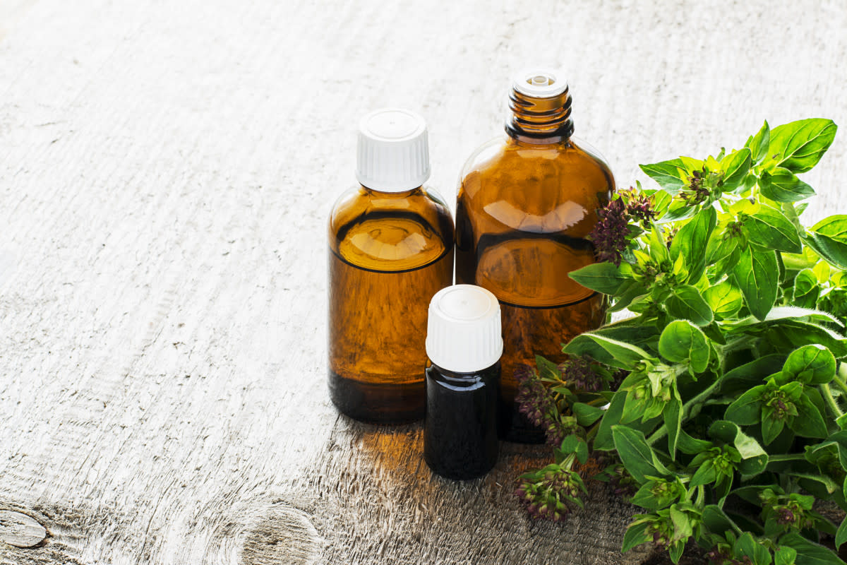 The Science Behind Oregano’s Effectiveness in Fitness Recovery
