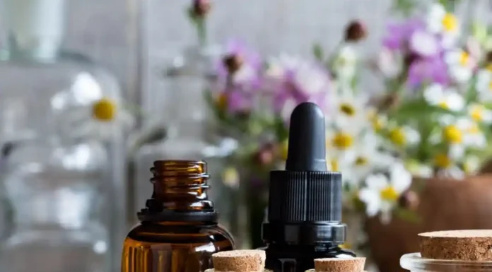 Essential Oils for Respiratory Support – A Natural Remedy for Lung Health